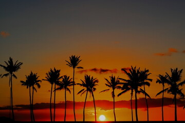 Fototapeta na wymiar ヤシの木,夕暮れ,サンセット,palm beach, sunset, backlight,