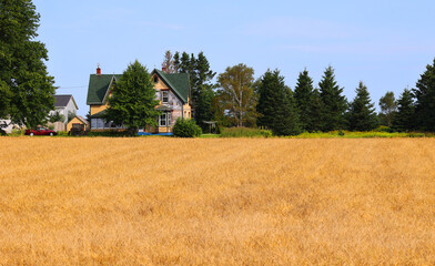 Landscape in summer in Prince Edwards Island