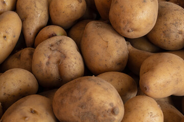 Pile of typical potatoes from Latin America