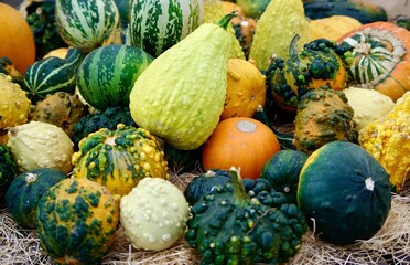 Small pumpkins and gourds for sale as decoration at fall.