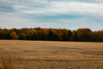 Fototapeta na wymiar autumn landscape in the field