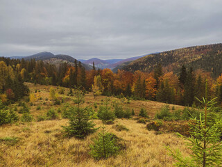 autumn in the mountains