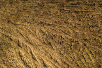 Drone top down view of cut stumps and tire tracks