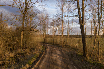 Drone view of dirt forest road