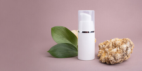 Cosmetics dispenser near podium of natural stone and glossy green leafs,eco friendly concept. Large...