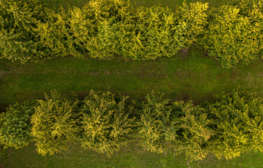 Drone view of historic mansion road