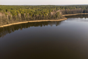 Fototapeta na wymiar Drone view of forest lake with reflection trees