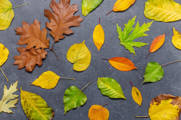 Fototapeta na wymiar background of autumn leaves red ,yellow ,green