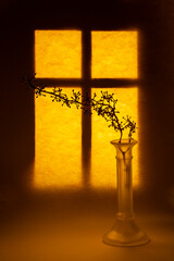 Naklejka premium Still life with a branch in a glass vase on a window background
