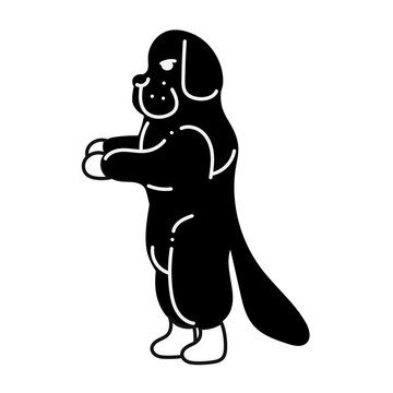 Newfoundland3. Silhouette of Newfoundland dog stands on its hind legs sideways towards us. Black and white cartoon doodle illustration.