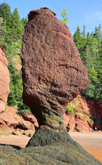 Hopewell Rocks Park in Canada, located on the shores of the Bay of Fundy in the North Atlantic Ocean