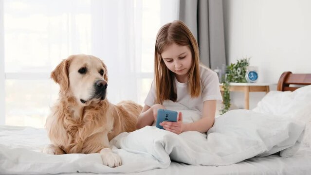 Beautiful preteen little girl sitting in the bed with golden retriever dog, looking at smartphone screen and scrolling. Cute smiling kid with pet and cell phone. Child and technologies