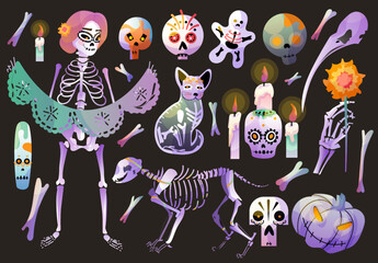 Dia de los muertos. Day of the dead. Female skeleton character.  Skeleton of cat, heads skulls, candle, pumpkins. Big set of halloween stuff. Vector cartoon illustrations