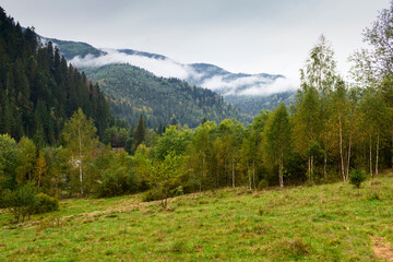 Fototapeta na wymiar autumn landscape in Carpathian Mountains, Ukraine.