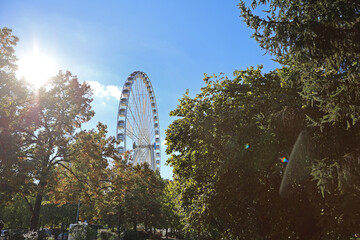 Ferris wheel giant wheel in summer in the park surrounded by trees