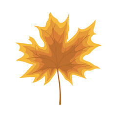 Maple Autumn Leaf