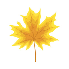 Maple Autumn Leaf