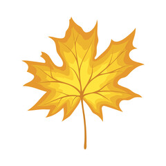 Maple Autumn Leaf