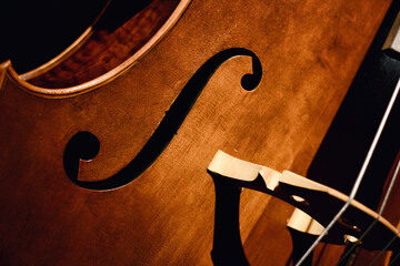 Close-up of f-hole and bridge of a cello musical instrument © TenWit