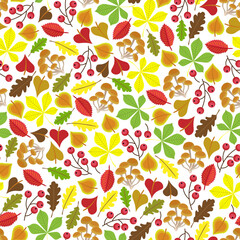 Berries, mushrooms, colourful autumn leaves, white background. Seamless floral pattern, hand drawn, vector.