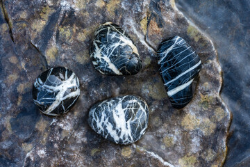 Four black and white patterned stones lying in a creek