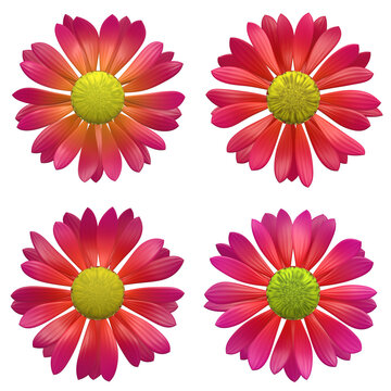 3D illustration of four flowers