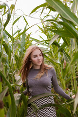 beautiful young woman in a corn field