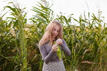 beautiful young woman in a corn field