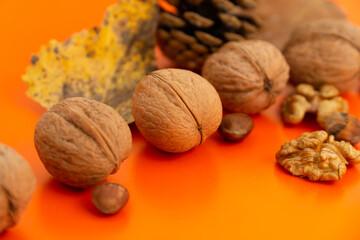 Autumn decoration, leaves, pine cone, acorn, walnuts, orange background