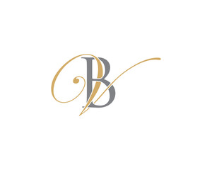 Letter B and V Logo Icon 001