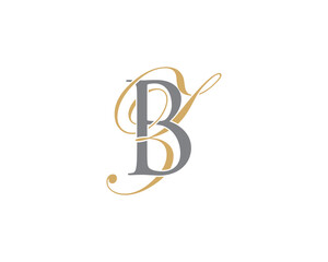 Letter B and Z Logo Icon 001