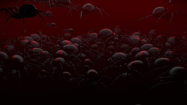 Black widow massive squirming pile 3d