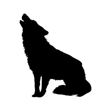Premium Vector  Wolf howling at the moon in engraving style