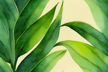 Fototapeta na wymiar Tropical leaves botanical watercolor illustration pattern