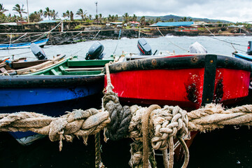 botes amarrados