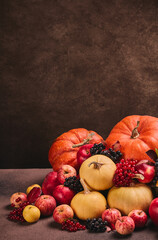Autumn harvest, happy Thanksgiving day, Halloween. Still life with pumpkins, berries, apples on dark  brown background with copy space.