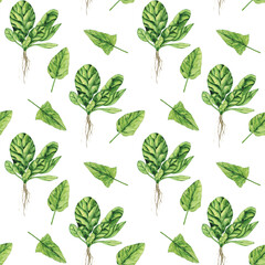 Watercolor Spinach with root seamless pattern on white background. Greenery hand drawing illustration. Fresh green leaf for salad. Healthy food.