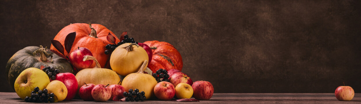Autumn harvest, happy Thanksgiving day, Halloween. Festive still life with pumpkins and apples on dark  brown background with copy space.