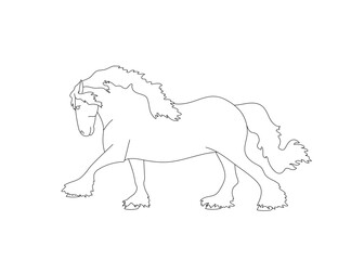 Irish tinker stallion jumping freely. Black and white illustration for coloring