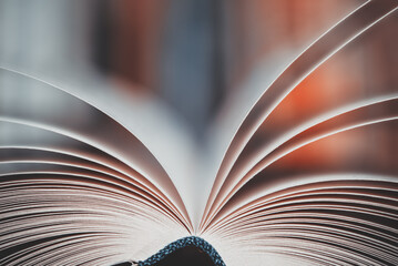 Opened book pages with blurred background