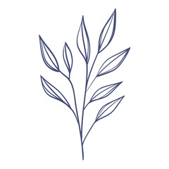 Fototapeta na wymiar branch with leafs sketch
