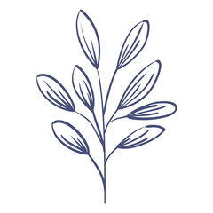 branch with leaves sketch