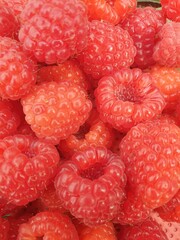 Closeup shot of a bunch of ripe fresh raspberries (Rubus idaeus)