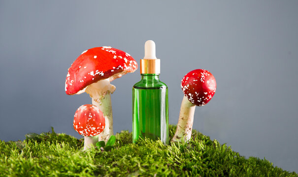 cosmetic products green glass bottles with oil from the fly agaric n moss next to mushrooms on grey background. cosmetics from Amanita muscaria. eco-friendly natural product