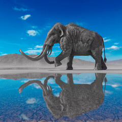 mammoth is walking in the desert after rain side view