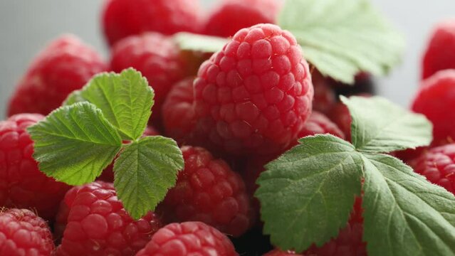 Fresh red raspberries with leaves, rotating