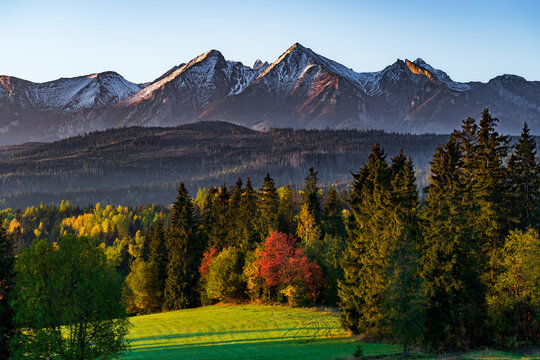 Poranny widok na polskie Tatry. Morning view of the Polish Tatra Mountains.
