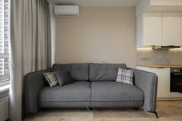 Grey sofa in a modern interior