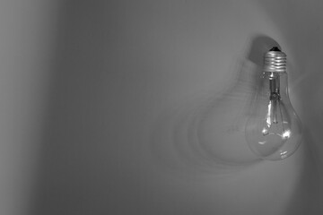 Electric light bulb in black and white. Energy saving. Conceptual idea symbol. 