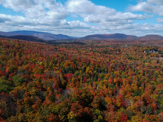 autumn landscape in the mountains